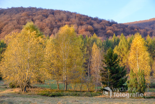Fotografia została zrobiona w jesienny poranek w pobliżu bieszczadzkiego schroniska 