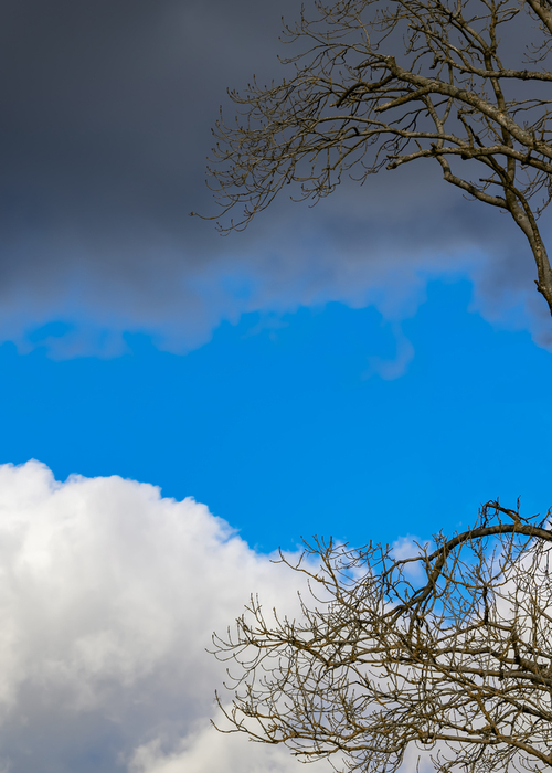 Niesamowite połączenie chmur, nieba i drzewa