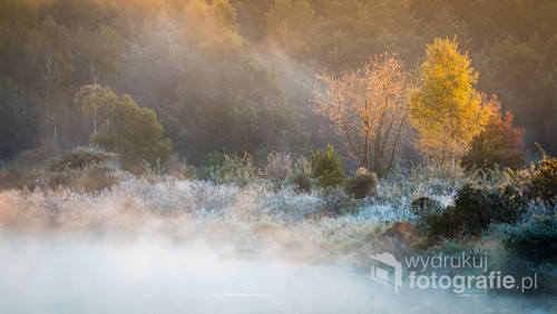 Drugie z trzech zdjęć, zrobione tego samego poranka nad rzeką Wartą. Zdjęcie bardzo ładnie oddaje klimat tego poranka.