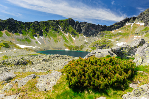 Zdjęcie zostało zrobione w Tatrach przedstawia jeden ze stawów oraz fragment krajobrazu doliny pięciu stawów.
