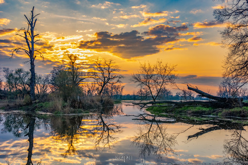 Ujście lokalnego kanału do rzeki Odry w okolicach Głogowa, woj. dolnośląskie, podczas zachodu słońca.