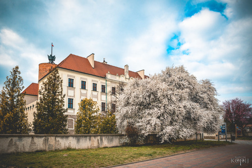 Zamek Książąt Głogowskich, siedzimy muzeum. Głogów, woj. dolnośląskie.