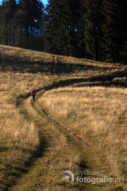 Droga prowadząca z Ludwikowic Kł. na Włodzicką Górę w Świerkach. Zdjęcie wykonane w listopadzie 2018 roku, użyte także w materiałach promujących walory turystyczne regionu w Polsko-Czeskim projekcie. 