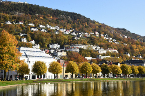 Park miejski w Bergen, jesień 2019.