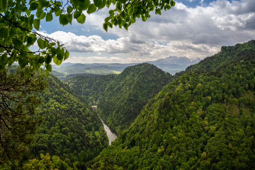 Widok na Tatry i Przełom Dunajca. Zdjęcie zrobione z niebieskiego szlaku na tzw. Sokolej Perci. 