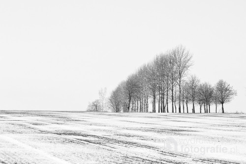 Zdjęcie zrobione zimą na polu pod Krynkami 