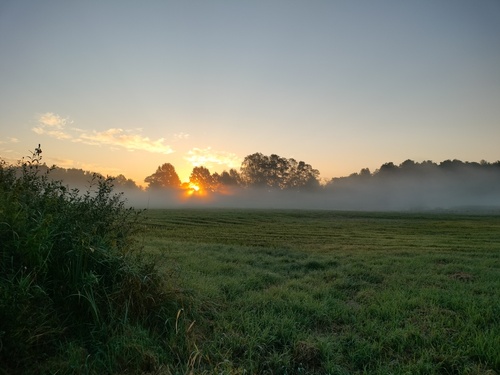 Zdjęcie wykonane 10 września w niewielkiej miejscowości Bogatki niedaleko Piaseczna. Piękny poranek w lekkiej mgle o wschodzie słońca.