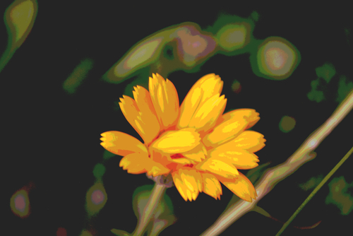 Fotografia zrobiona została w stylu abstrakcyjnym dzięki czemu kwiatek wygląda jak malowany.