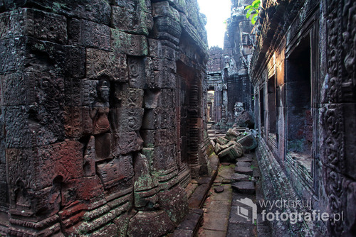jedna ze świątyń w kompleksie Angkor - Cambodia 2015 r.