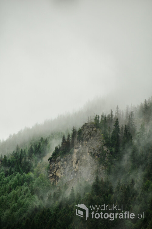 Tatry i wędrówka na Sarnią Skałę w towarzystwie pięknych mglistych widoków 