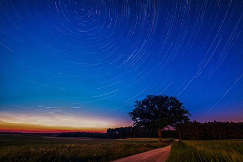 Ten nocny pejzaż przedstawiający samotnie stojące drzewo na tle szlaków gwiazd został wykonany podczas tzw. białej nocy. To taki okres, podczas którego nie występują noce astronomiczne, a słońce tylko nieznacznie chowa się pod horyzont.