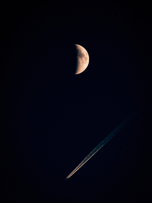 Nocne latanie...
Fotografia nagrodzona w konkursie 