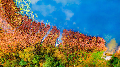 Piękne kolory jesieni, kolorowe drzewa, zacumowane łódki oraz odbijające się chmury w tafli wody.

jesień #jezioro #łódki #dron #kolorowe