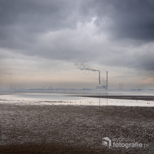 Dublińskie plaże podczas odpływu. W tle dublińska elektrownia