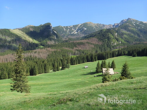 Kalatówki, wiosna w Tatrach.