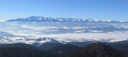 Zimowy widok na Tatry z Gorców.