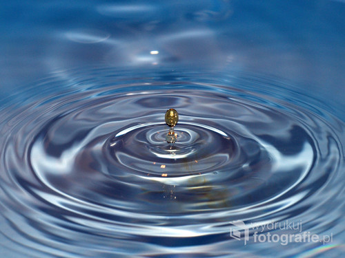 Makrofotografia pozwala dostrzec piękno tego, co na co dzień jest niewidoczne. Kropla wody. Po prostu.