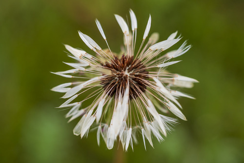 Puszcza Sandomierska Maj 2023

Technikalia zdjęcia: Canon R6, Canon RF 100mm f/2.8  1/250s ISO100
