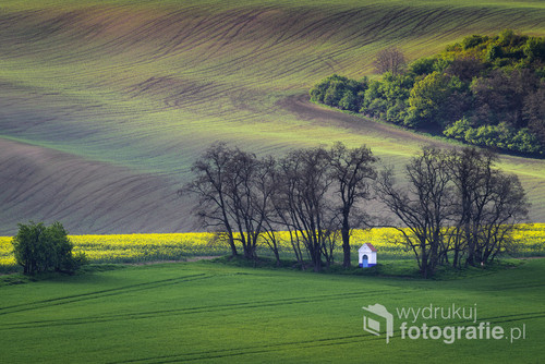 The chapel of st. Barbara on Moravian fields during spring time in Czech republic