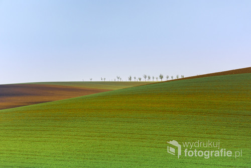 Moravian spring landscape, south Moravia, Czech Repuplic, Europe