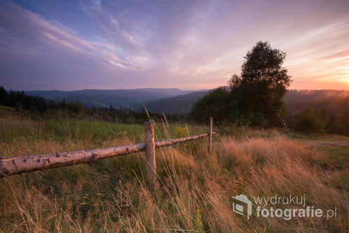 Fotografia przedstawia spokojne popołudnie na malowniczej polanie w Wiśle Malince, usytuowanej w sercu Beskidu Śląskiego