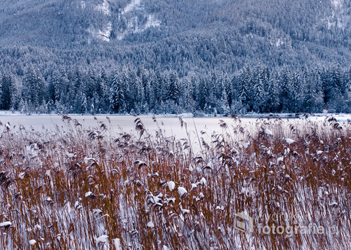 Fotografia przedstawia zimową scenę przy skutym zimowym lodem jeziorze Hintersee, położonym w niemieckich Alpach Berchtesgadeńskich.