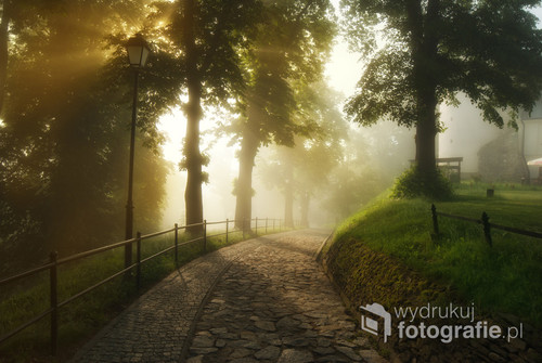 Przemyśl - Park Zamkowy. Majowy świt w spowitym mgłą parku.