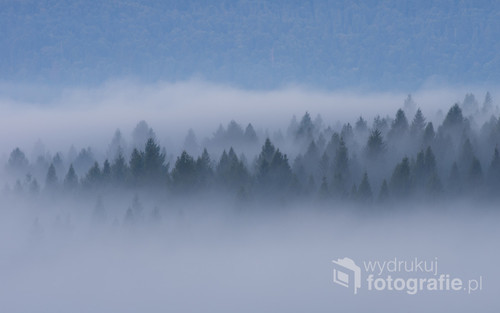 Zdjęcie wykonane w Bieszczadach przedstawia las okryty jesienną mgłą.