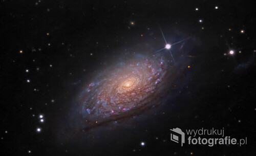 Bardzo ciekawa galaktyka z konstelacji Psów Gończych
