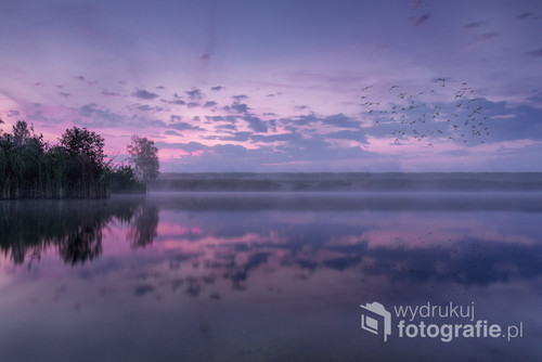 Wschód słońca na jeziorkiem w Jeziorzanach, okolice Krakowa.
