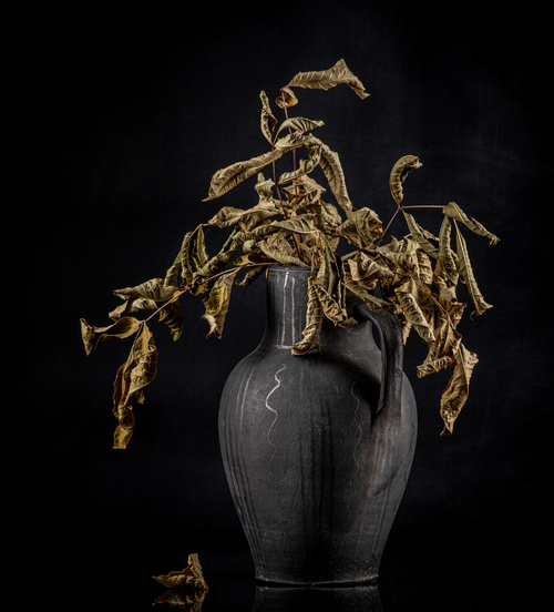 Gliniany wazon z suchymi liśćmi na czarnym tle, jako minimalistyczna kompozycja martwej natury
