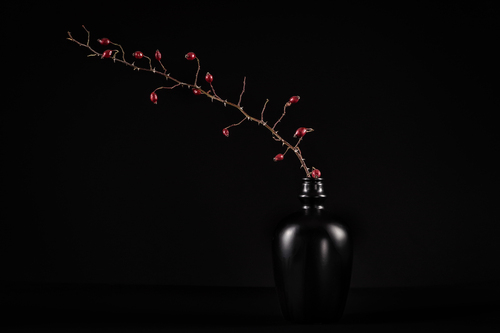 Minimalistyczna kompozycja w czerni z gałązką dzikiej róży