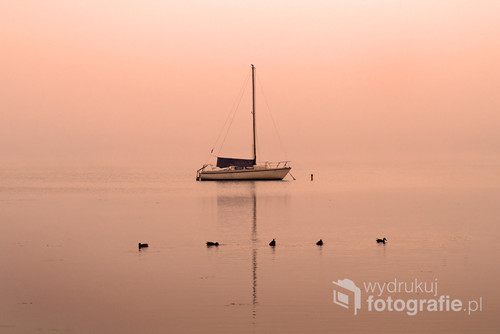 Wrześniowy świt na Jeziorze Międzybrodzkim. Cisza, brak wiatru. Lekka mgła otula cały akwen nadając mu różowe zabarwienie. Tylko kaczki ożywiają monotonię obrazu. Olympus Digital Camera. ISO 200, F 8, 1/60s.