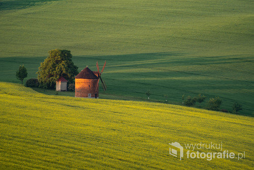 Zdjęcie zrobione wiosną na czeskich Morawach, których falujące pola są często, i nie bez powodu, porównywane do wzgórz Toskanii.