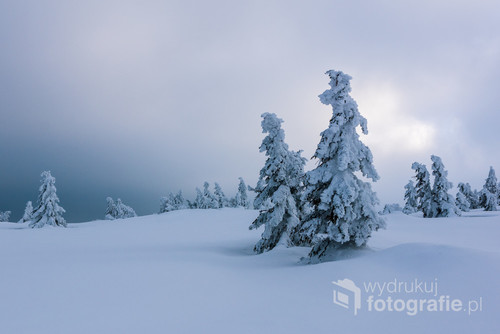 Zdjęcie wykonane w Karkonoszach podczas w przepięknej zimowej aurze.
