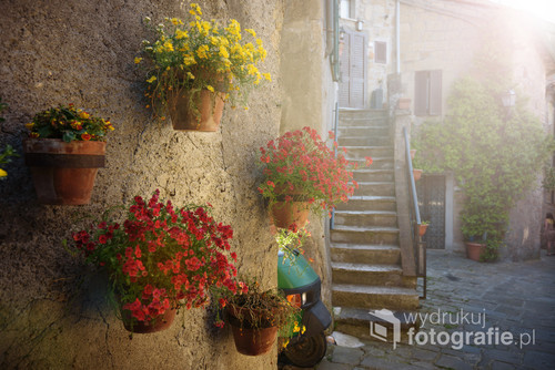 Spring streets of the old Tuscan town. Colorful flowers bloom and fragrant.