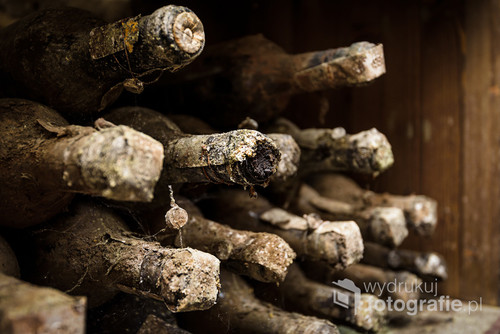 Lying dusty old bottles of wine in the Italian vineyard.