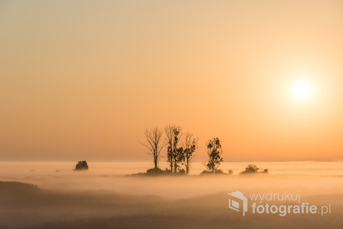 W Biebrzańskim Parku Narodowym o każdej porze można odkryć  najbardziej zaskakujące widoki. Obraz przedstawia drzewa zanurzone we mgle podczas czerwcowego wschódu słońca.