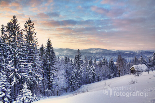 Zdjęcie wykonane rankiem po nocnej śnieżycy w miejscowości Koniaków.