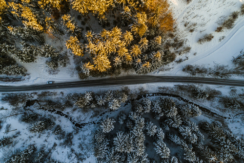 Droga w lesie w zimowej scenerii