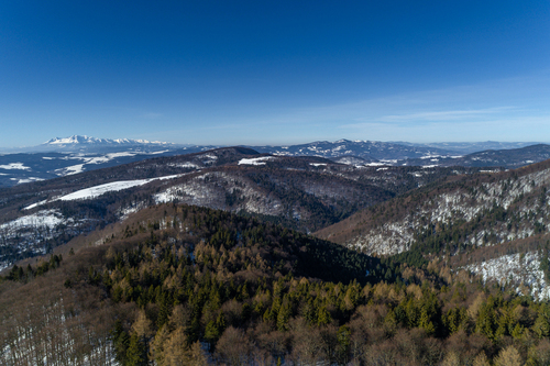 Muszyna, zimowy krajobraz z widokiem na góry