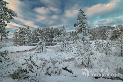 Piękny zimowy dzień w plenerze nad jeziorem Jonsvatnet, środkowa Norwegia. Świeże opady śniegu zmieniły las w bajkową krainę. Grudzień 2016.
