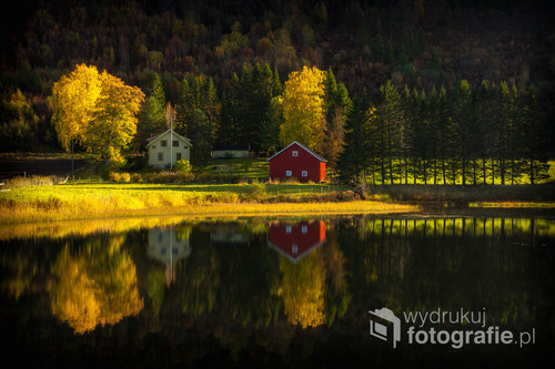 Jesienny klimat nad małym jeziorkiem Nydammen nieopodal Ranheim, środkowa Norwegia. 