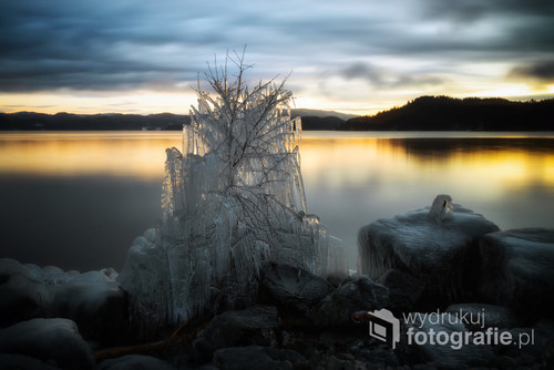 Zimowy klimat w środkowej Norwegii. Pięknie oblodzone drzewo przy brzegu jeziora Jonsvatnet. Późno popołudniowe światło.