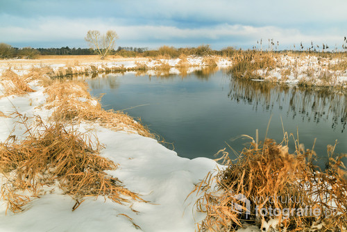 Zimowy poranek w Biebrzańskim Parku Narodowym.
