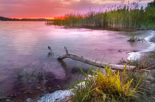 Zdjęcie zrobiłem tuż po zachodzie słońca, nad brzegiem, niewielkiego jeziorka na Podlasiu.