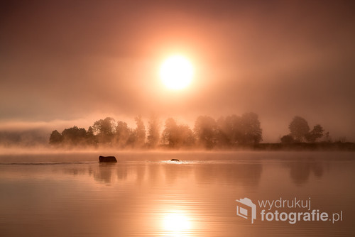 Zdjęcie zostało zrobione nad Bugiem w Mielniku. Poranne mgły były zniewalające ale dopiero po wschodzie słońca powstała magia. Zdjęcie było prezentowane na wystawie członków klubu FKA kursów Marka Waśkiela.