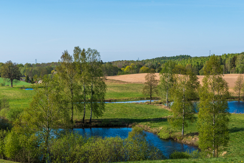 Polski nizinny zielony krajobraz na Kaszubach