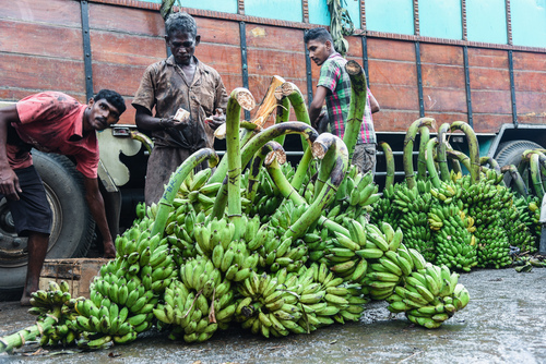 Zdjęcie wykonane na targu owoców w Colombo na Sri Lance.