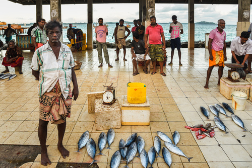 Targ rybny na obrzeżach miejscowości Weligama na Sri Lance.